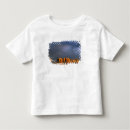 Search for rock formation tshirts Sedona