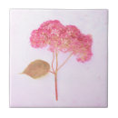 Search for pink bathroom tiles Backsplash
