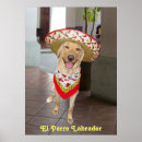 Search for perros Funny
