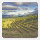 Search for vineyard stickers Napa valley