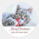 Search for grey tabby cat stickers Animal