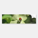 Search for ladybirds bumper stickers Nature