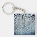 Search for frosty key rings Nature