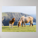 Search for shetland islands posters Ranch