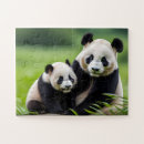 Search for panda puzzles China