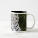 Search for bengal tiger coffee mugs Animal