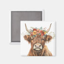 Search for bovines magnets Animal