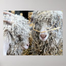 Search for goat posters Farm animals