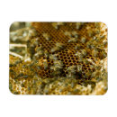 Search for hive magnets Honeycomb