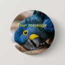 Search for macaw badges Bird