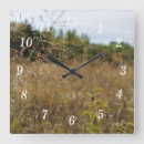 Search for conservation parks art Nature