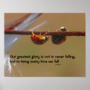 Search for lady bug art Nature