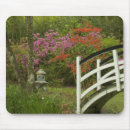 Search for azaleas electronics Nature