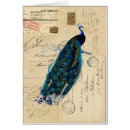Search for bird words postcards Blue