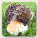 Search for cute hedgehog coasters Animal