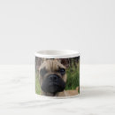 Search for love french bulldog mugs Cute dog