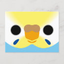 Search for budgie postcards Blue