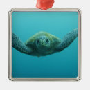 Search for galapagos islands christmas tree decorations Reptile