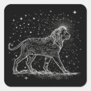 Search for star map stickers Constellations