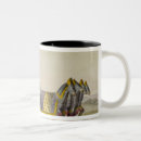 Search for charioteer mugs Ancient