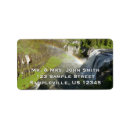 Search for caribou return address labels Nature