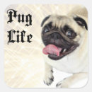 Search for pug life stickers Dogs