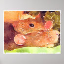 Search for rat posters Pets