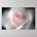 Search for soft focus posters Pink