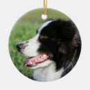Search for border collie puppy christmas tree decorations Lying down