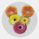 Search for alphabet v stickers Flowers