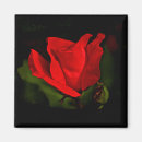 Search for passionate magnets Red