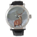 Search for stag watches Deer