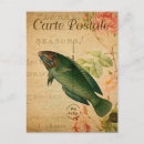 Search for pastel green postcards French