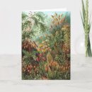Search for rainforest cards Flowers