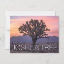 Search for joshua postcards Sunrise