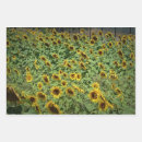 Search for happy birthday mom wrapping paper Merry christmas