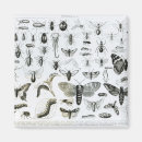 Search for entomology magnets Zoology