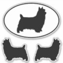 Search for silky terrier Pets