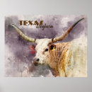 Search for longhorn posters Texas