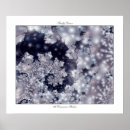 Search for firefly decor Black