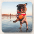 Search for sunset cork coasters Animal