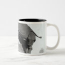 Search for rhinoceros mugs Horn