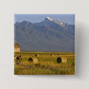 Search for valley badges Chuck haney