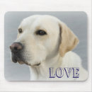 Search for yellow lab electronics Puppy