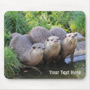 Search for amusing photography Cute