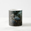 Search for birds nest mugs Animal