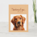 Search for lonely dog cards Sad