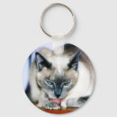 Search for four cats key rings Animal
