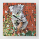 Search for australian animal clocks Wildlife