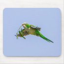 Search for texas mousepads Animal